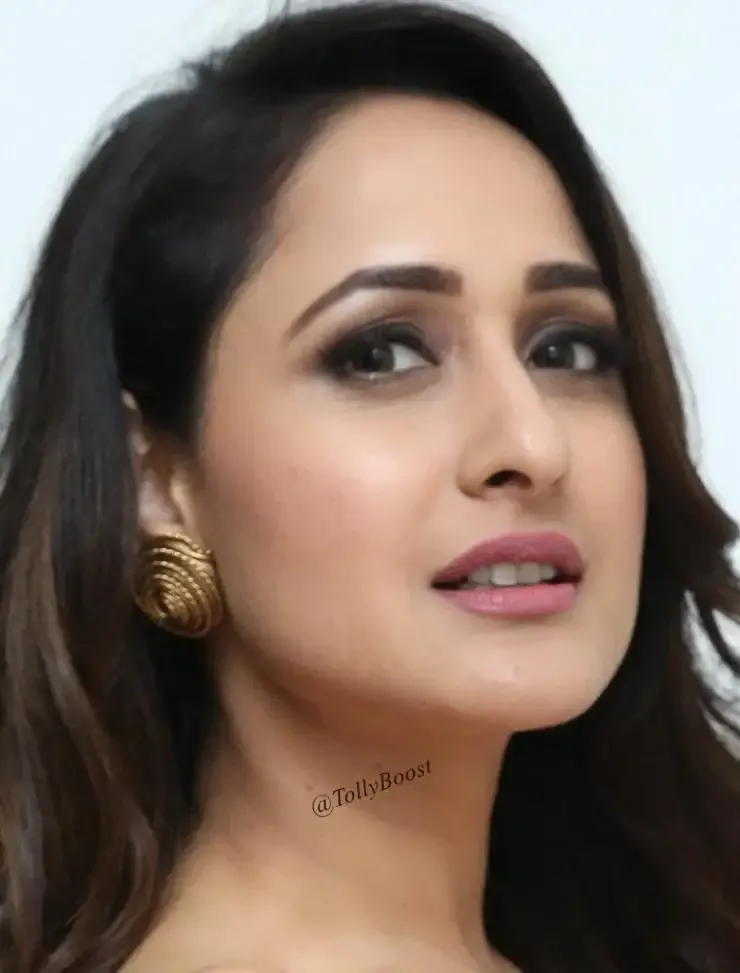 Actress Pragya Jaiswal Without Makeup Real Face Closeup